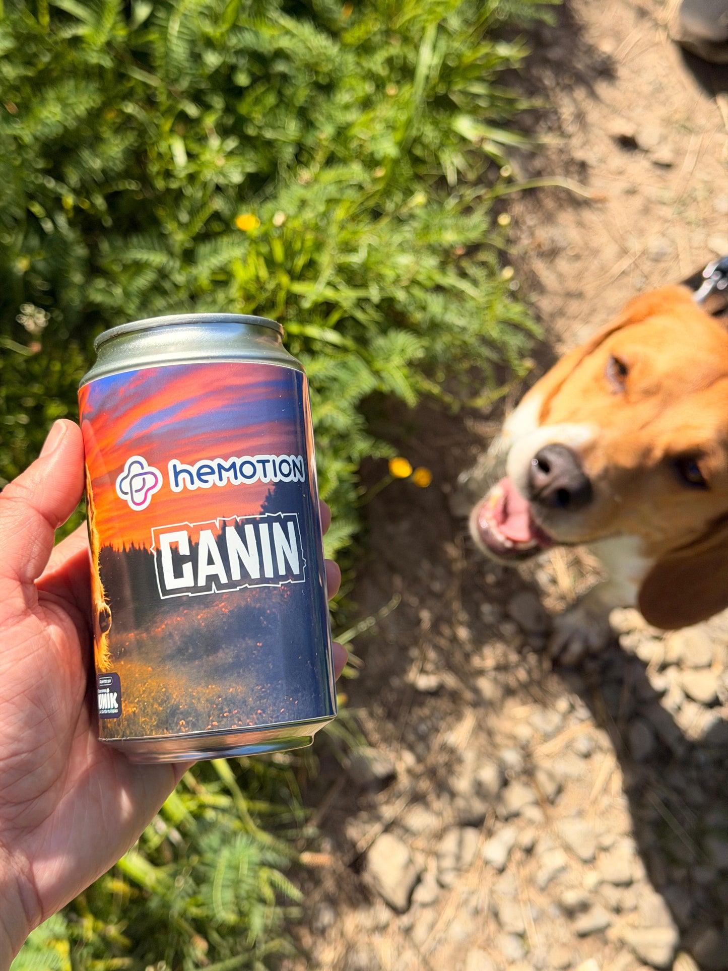 Kit CANIN